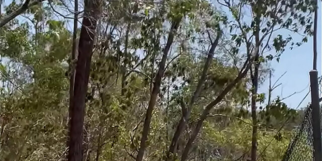 bus,exhibitionist,mature,nude,public