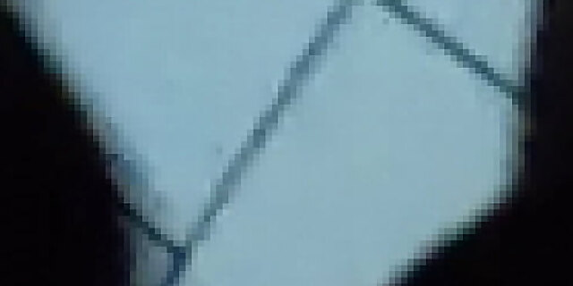 black,ebony,licking,motel