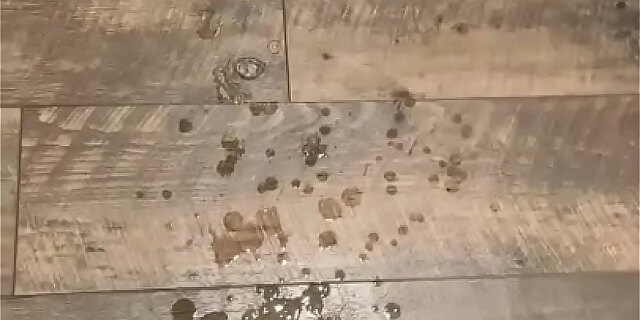 amateur,anal,bathroom,big cock,blowjob,creampie,cum,cumshot,handjob,hotel,masturbation,milf,public,solo,squirt,teen