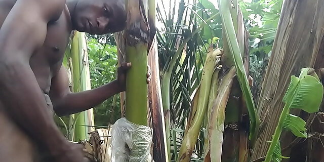 amateur,big ass,big cock,cum,petite,pornstar