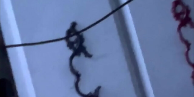 big ass,blowjob,slut