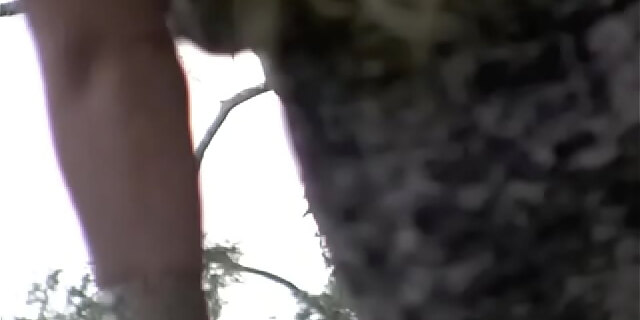 big tits,blonde,busty,femdom,outdoor,pornstars,public,pussy,reality