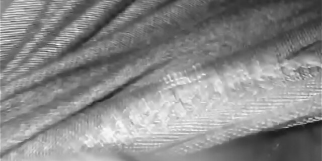 bukkake,cum,fingering