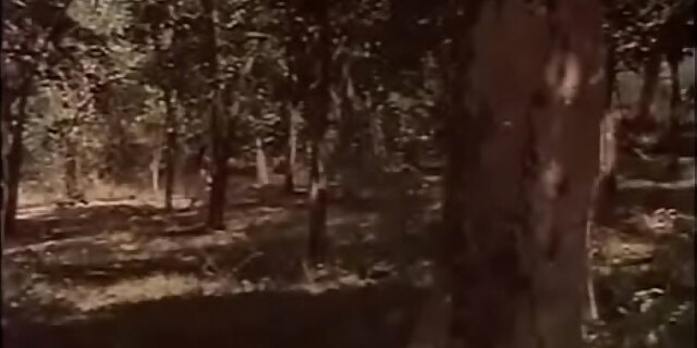 boobs,bus,doctor,nude,outdoor