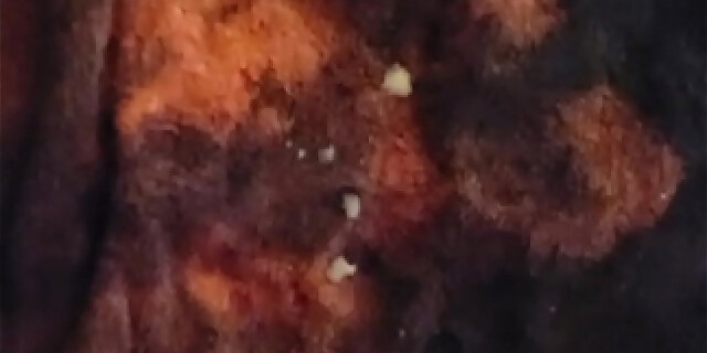 creampie,cum,cumshot,masturbation,orgasm