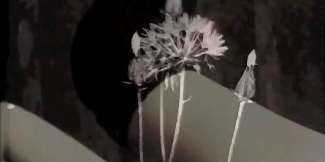 hairy,mom,retro,taboo,vintage