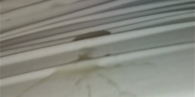 colombian,creampie,cum,cumshot,friend,latina,motel,pussy